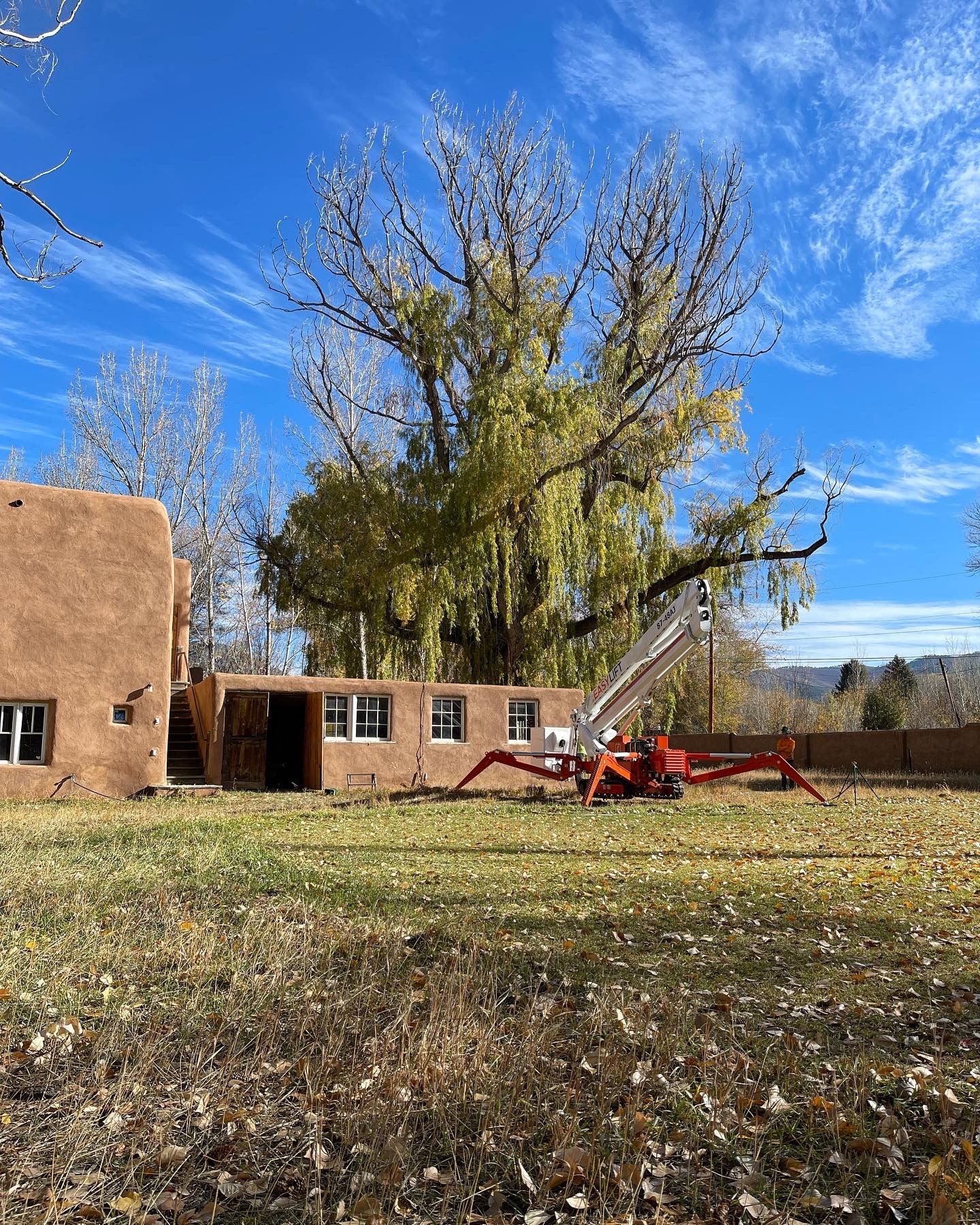 An adobe home in Northern New Mexico with a very large, very tall tree behind it with a lot of dead branches.