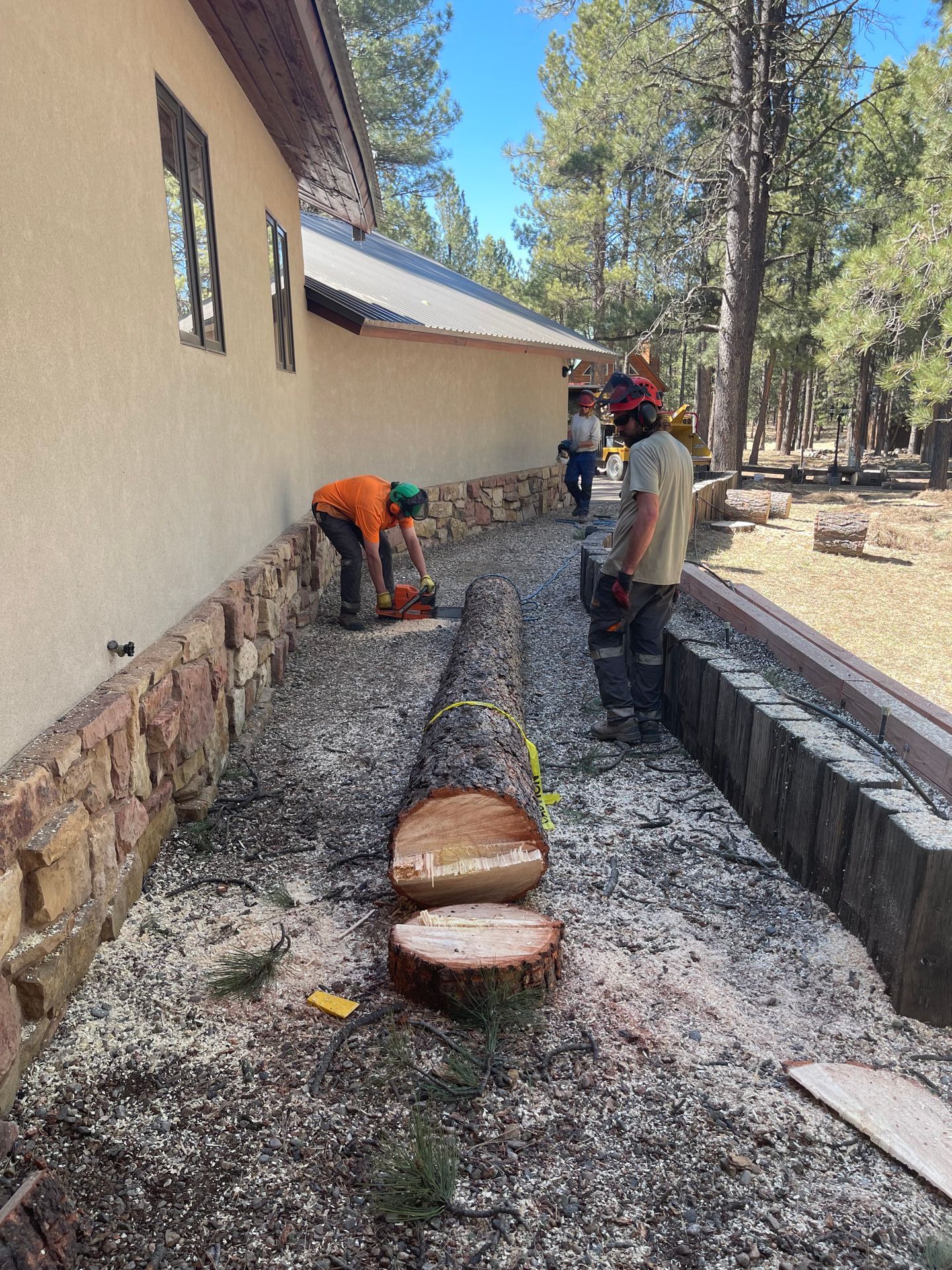 A tree large trunk that has just been taken down very close to a house. Taos tree employees are overseeing its removal.
