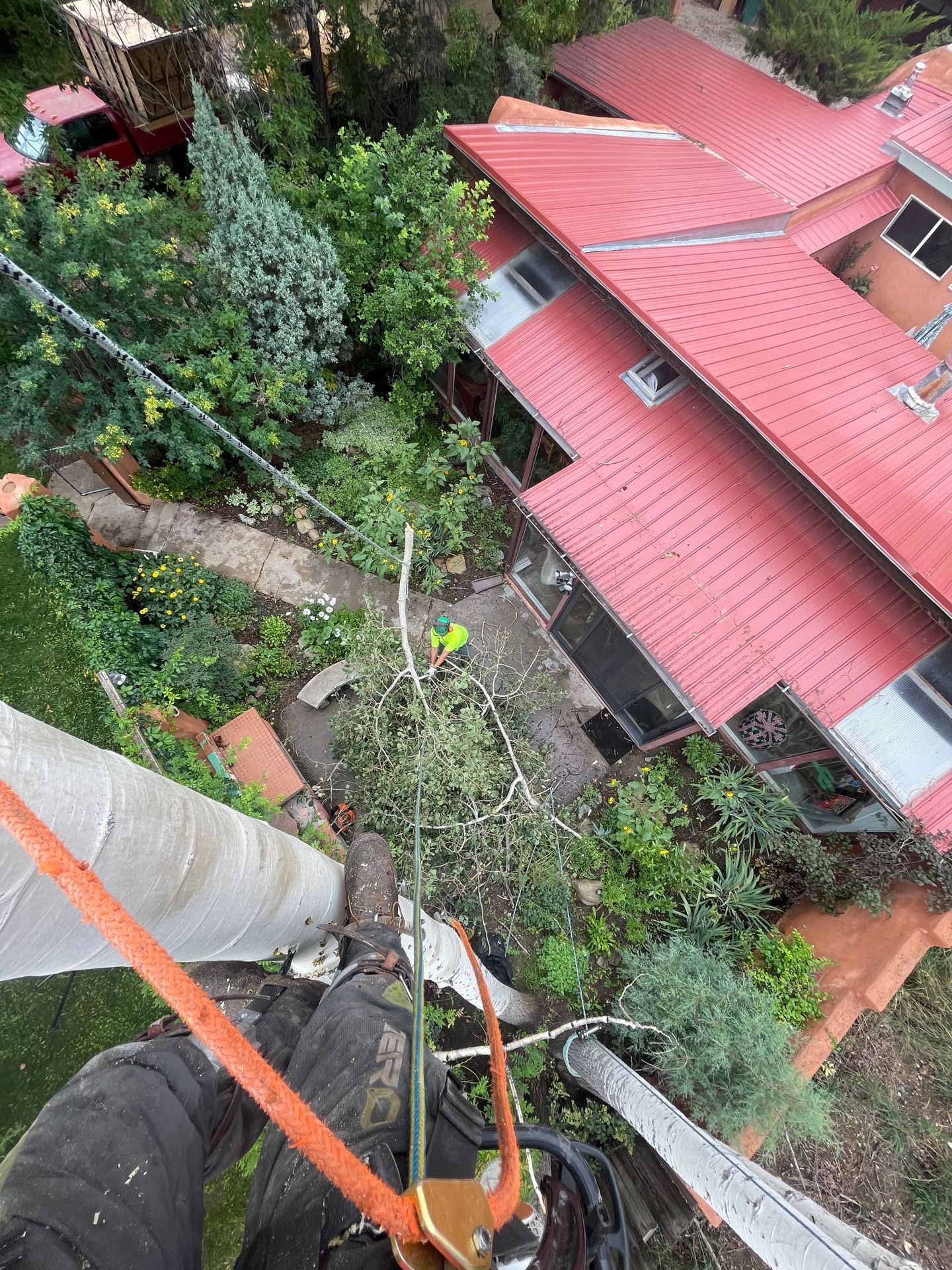 Looking down onto a home with a red roof from high up in a tree.