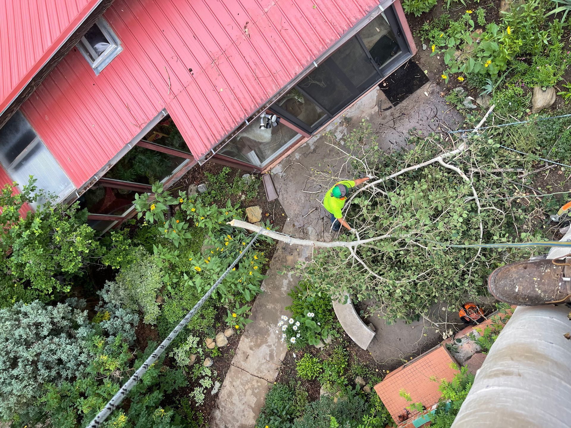 Looking down from high up in a tree onto a house with a red roof .