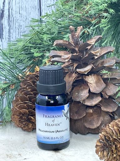 Helichrysum Absolute — Lubbock, TX — Fragrance of Heaven