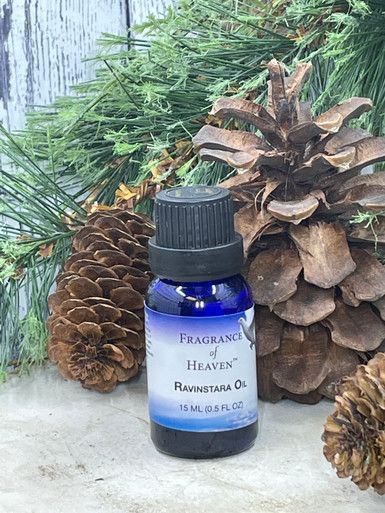 Ravinstara — Lubbock, TX — Fragrance of Heaven