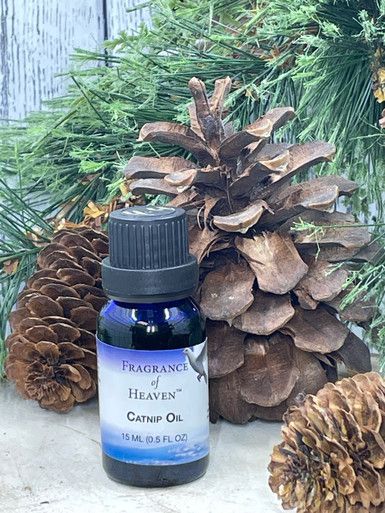 Catnip — Lubbock, TX — Fragrance of Heaven