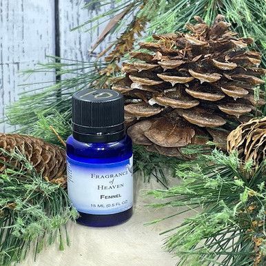 Fennel — Lubbock, TX — Fragrance of Heaven