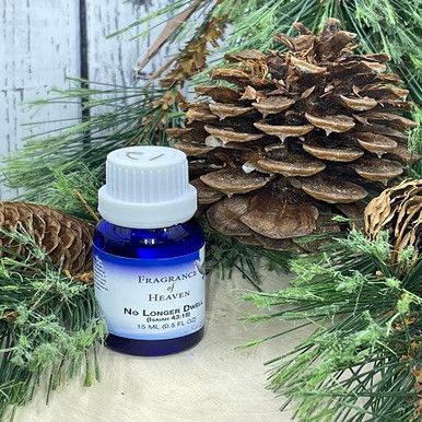 No Longer Dwell — Lubbock, TX — Fragrance of Heaven