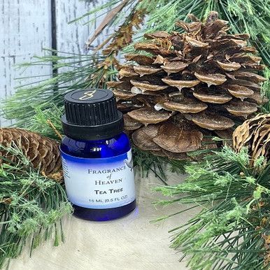 Tea Tree — Lubbock, TX — Fragrance of Heaven
