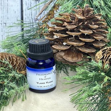 Ylang Ylang — Lubbock, TX — Fragrance of Heaven