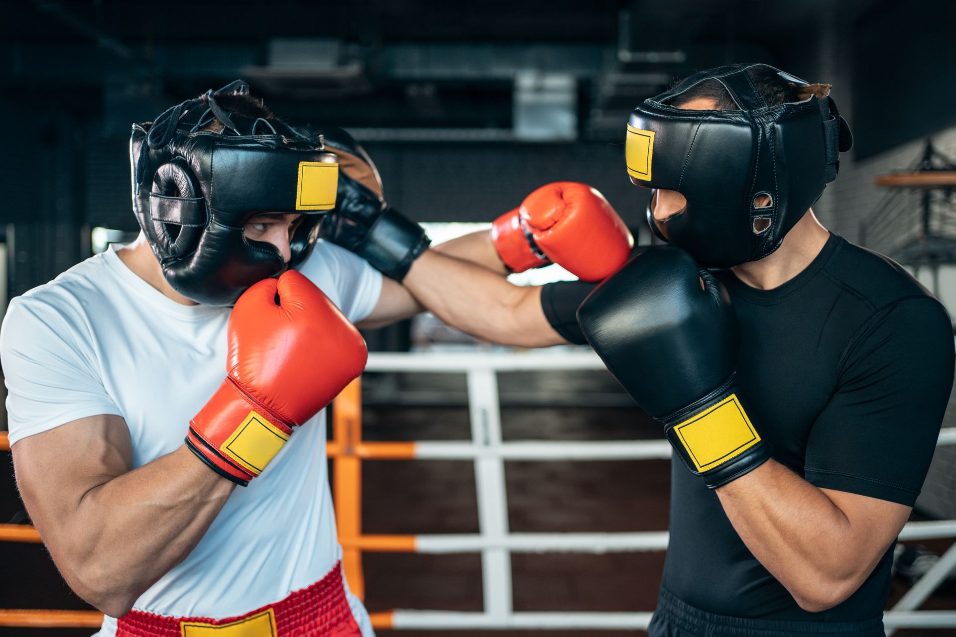 Boxing and Martial Arts - Champion Boxing & Fight Club - New Baltimore, MI