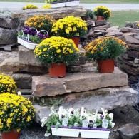Stone steps with colorful potted flowers arranged as a tiered garden display