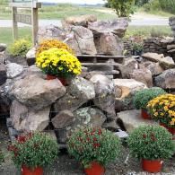 Rock garden with colorful potted flowers and yellow chrysanthemums beside a stone waterfall display