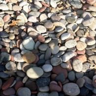 Multicolored smooth pebbles covering the ground, lit by sunlight