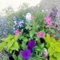 Colorful flowers and green foliage in a garden bed, with purple and pink blooms against a stone wall