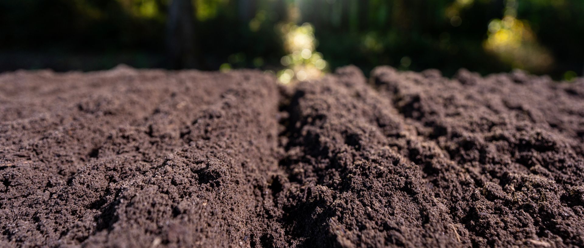 Rows of freshly tilled dark brown soil in a garden, with blurred greenery in the background.