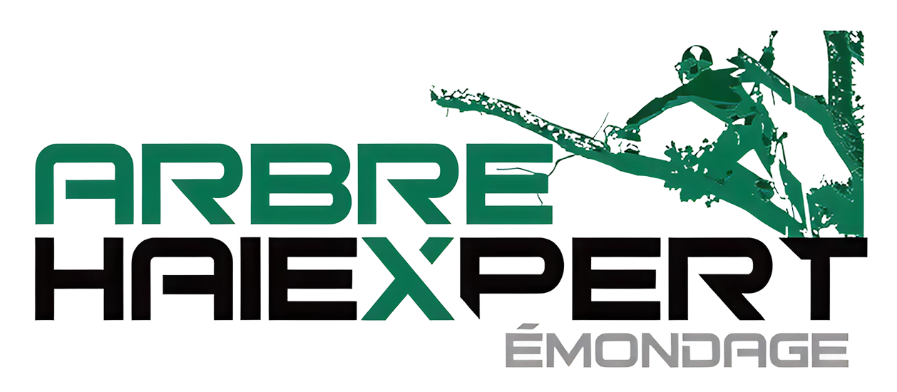 Logo for Arbre Haiexpert &Eacute;mondage featuring green and black text with a stylized silhouette of a tree trimmer.