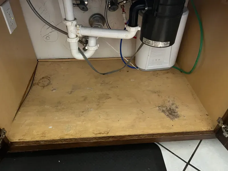 Inside a kitchen cabinet under a sink; light brown wooden shelf, pipes, and a garbage disposal.