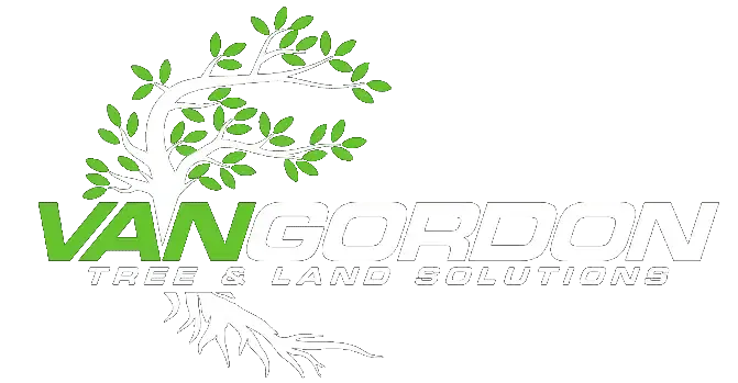 Logo for Van Gordon Tree & Land Solutions. Green "VAN" with leaves, "GORDON" in white.