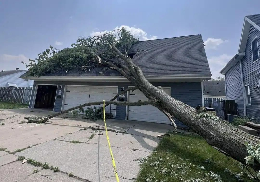 A tree fallen on a garage with white doors, blocking them. Blue house siding, sunny day.