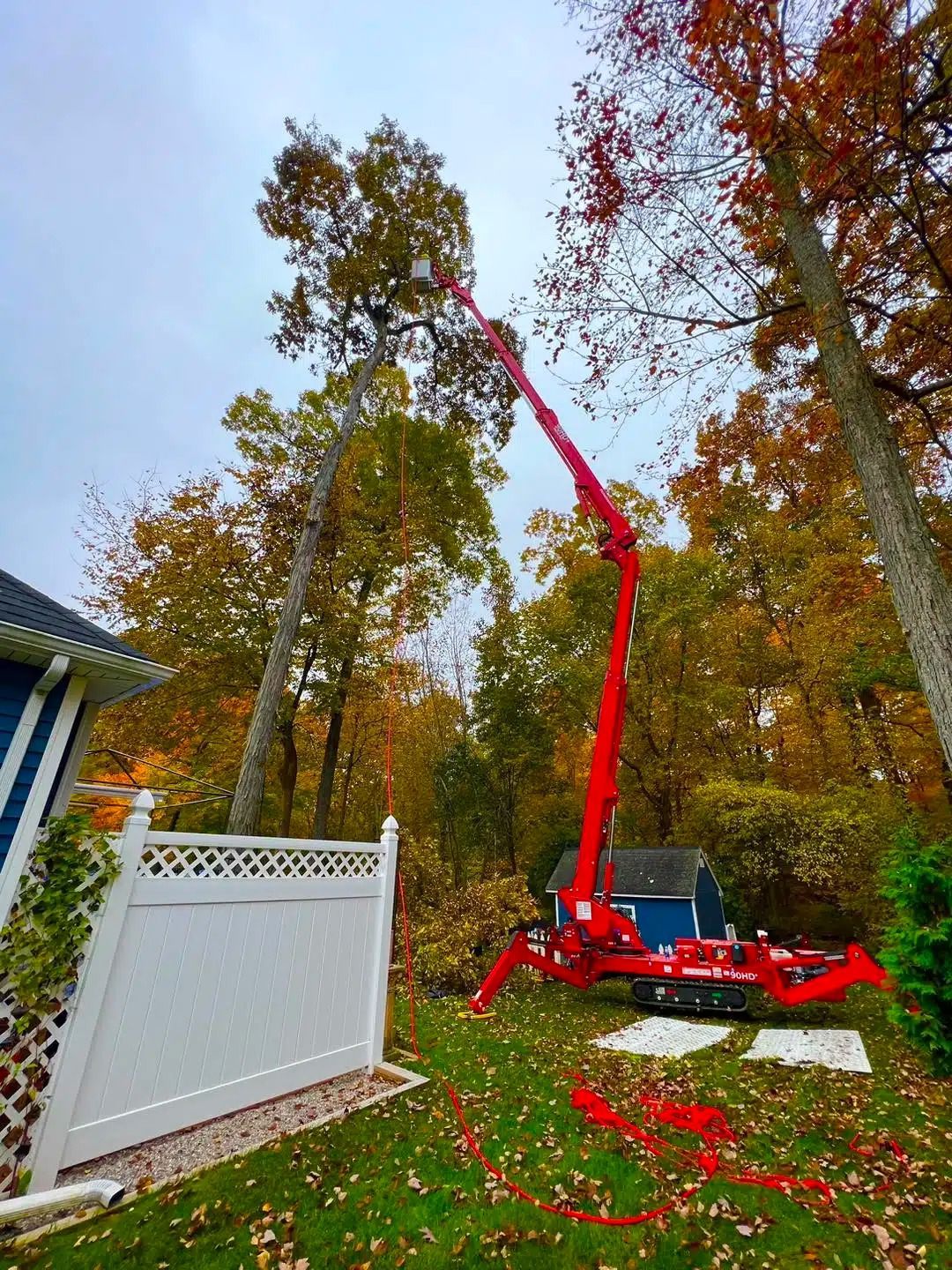 Red tree-trimming machine in action, trimming a tall tree. Autumn setting with colorful leaves.