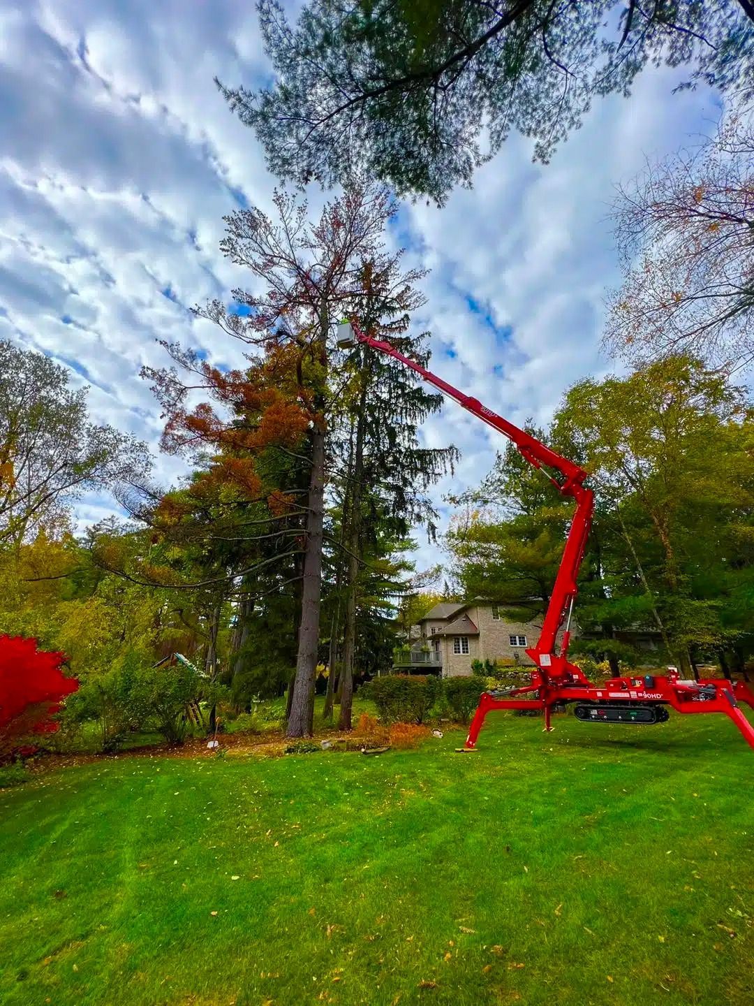 Red tree-trimming lift reaching a tall tree in a backyard with fall foliage and a house in the background.