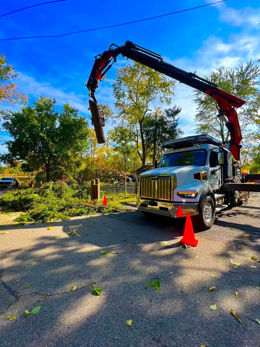 A crane truck lifts a tree trunk. Trees are being trimmed on a sunny day.