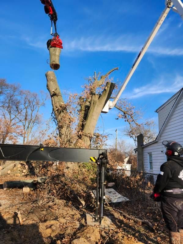 Tree removal: A worker in safety gear cuts a tree branch, lifted by a crane.  Blue sky backdrop.