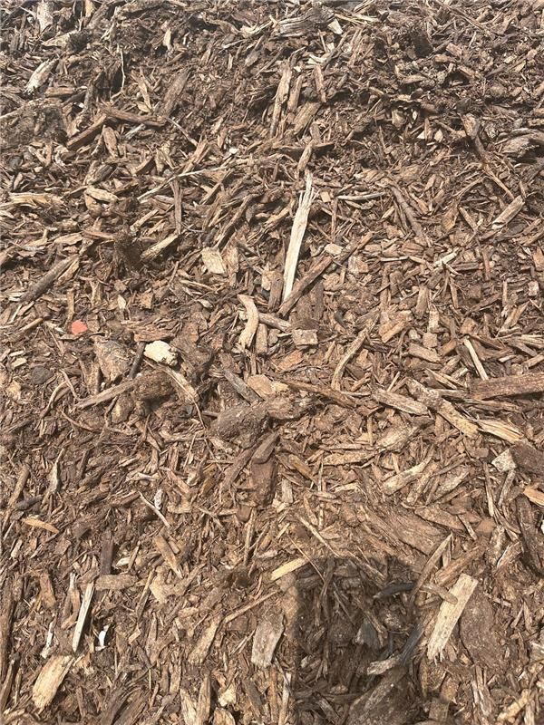 Brown wood mulch covers the ground.