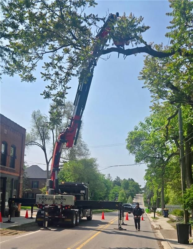 A crane trimming a large tree on a street; a worker walks nearby; a brick building on the left.
