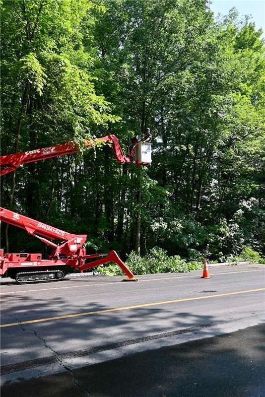 Red tree-trimming truck with bucket trimming tree over a road, person in bucket, branches on ground, orange cone.