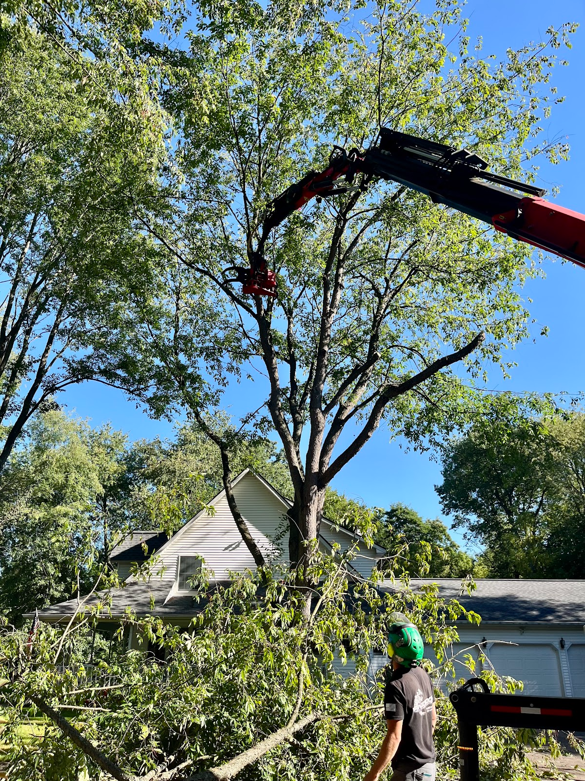 Crane trimming a tree near a house; worker in green hat below, debris on the roof, sunny day.
