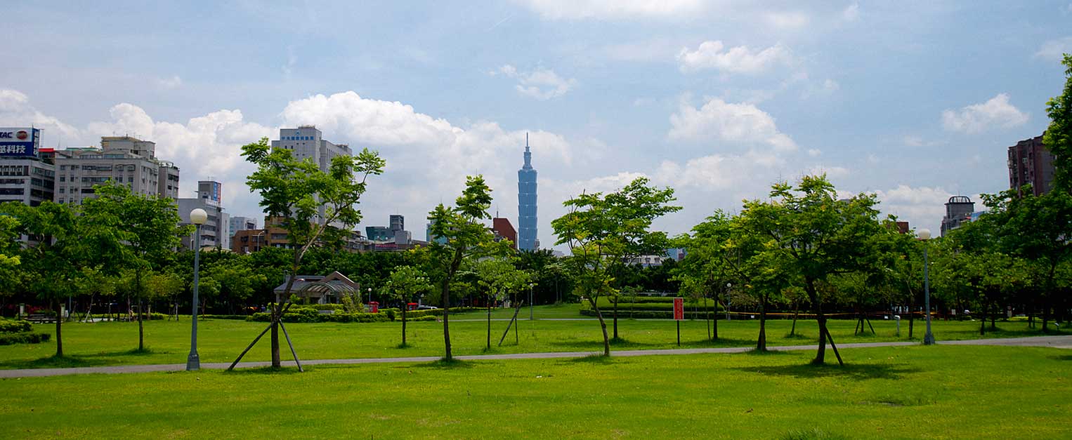 Lot Clearing — Tree Services in Northeast IN