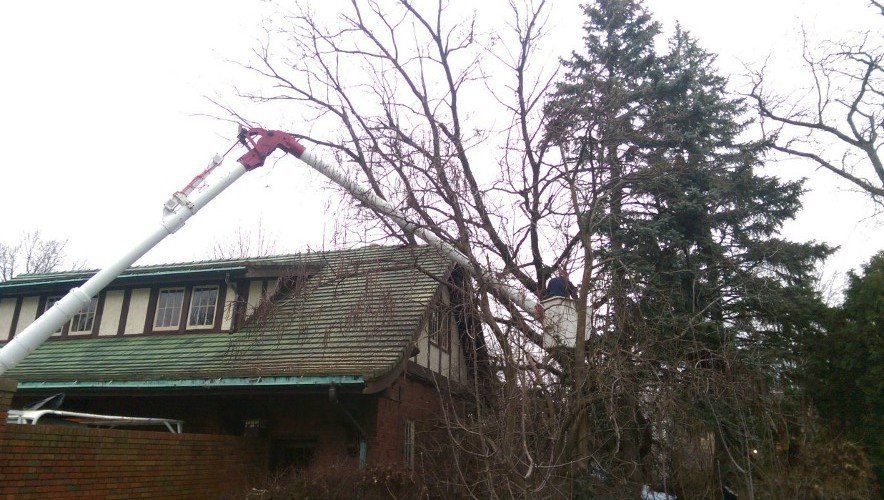 Tree Project - Tree services in Northeast Indiana