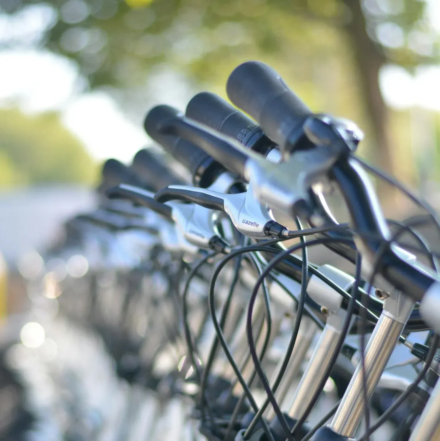 Row of parked bicycles, handlebars in focus, outdoors. — Freedom Sports in Bundaberg Central, QLD