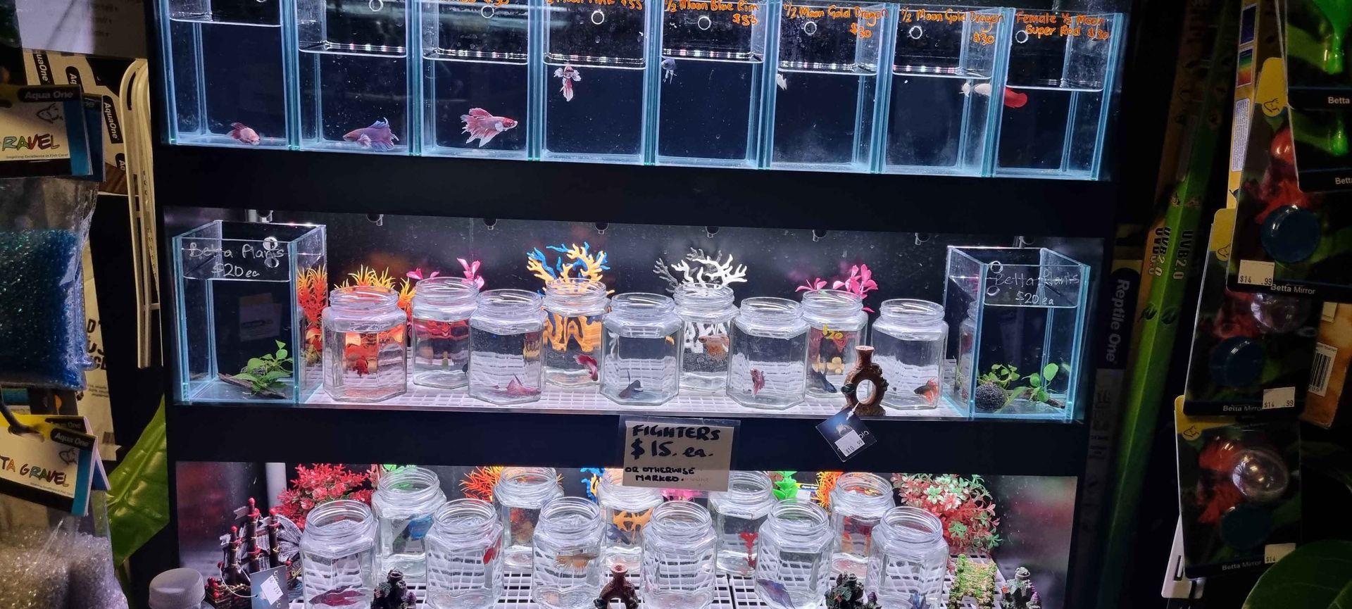 Fish Tank - Kempsey, NSW - Valley Garden Centre