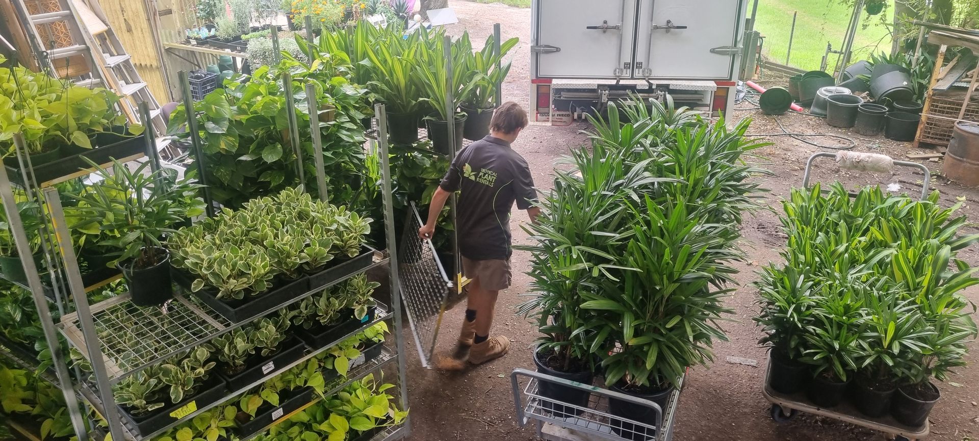 A man is standing in front of a truck filled with potted plants - Kempsey, NSW - Valley Garden Centre
