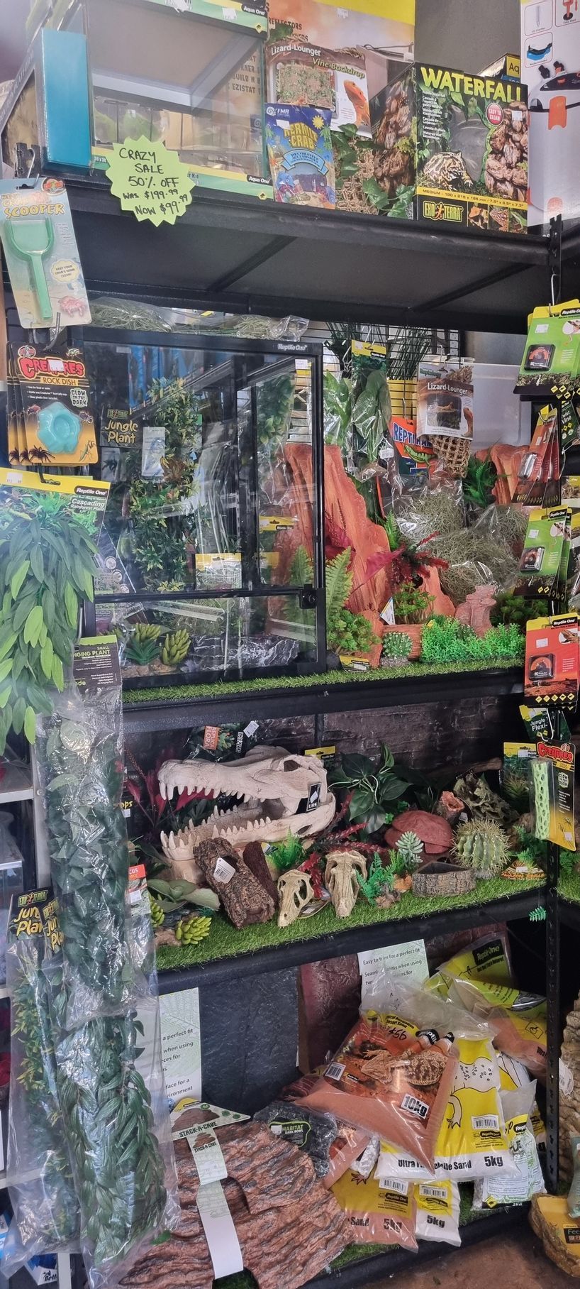 A store filled with lots of toys and dinosaurs - Kempsey, NSW - Valley Garden Centre