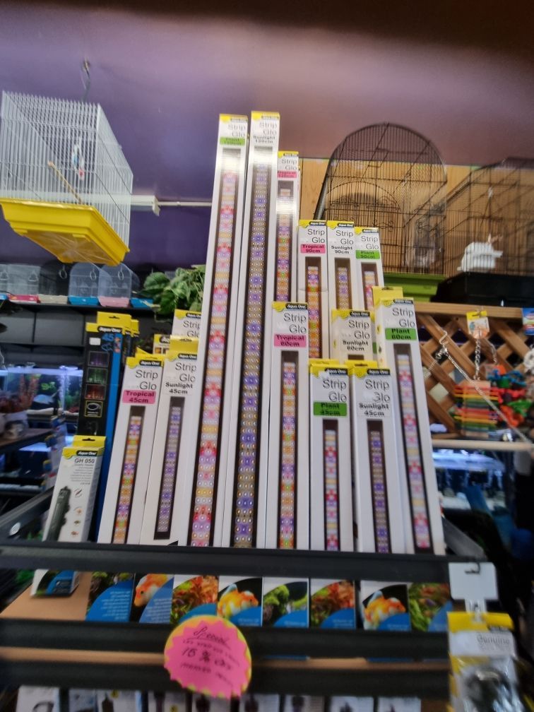 A bunch of lights - Kempsey, NSW - Valley Garden Centre