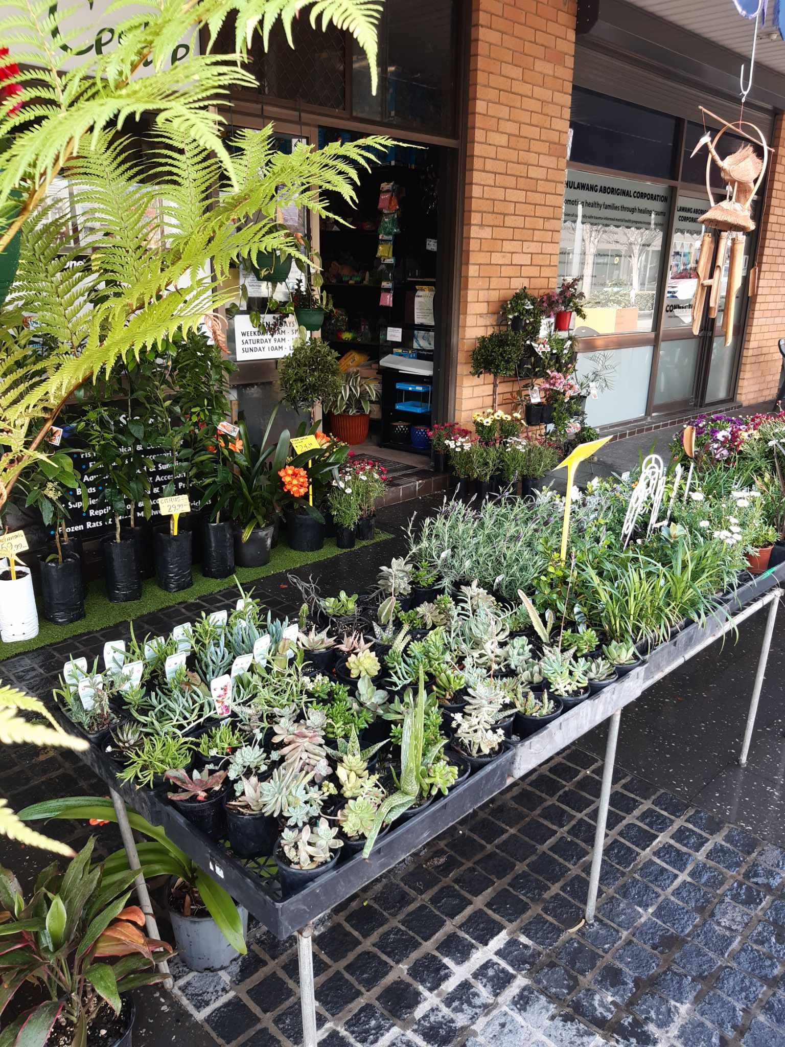 A Different Of Products- Kempsey, NSW - Valley Garden Centre