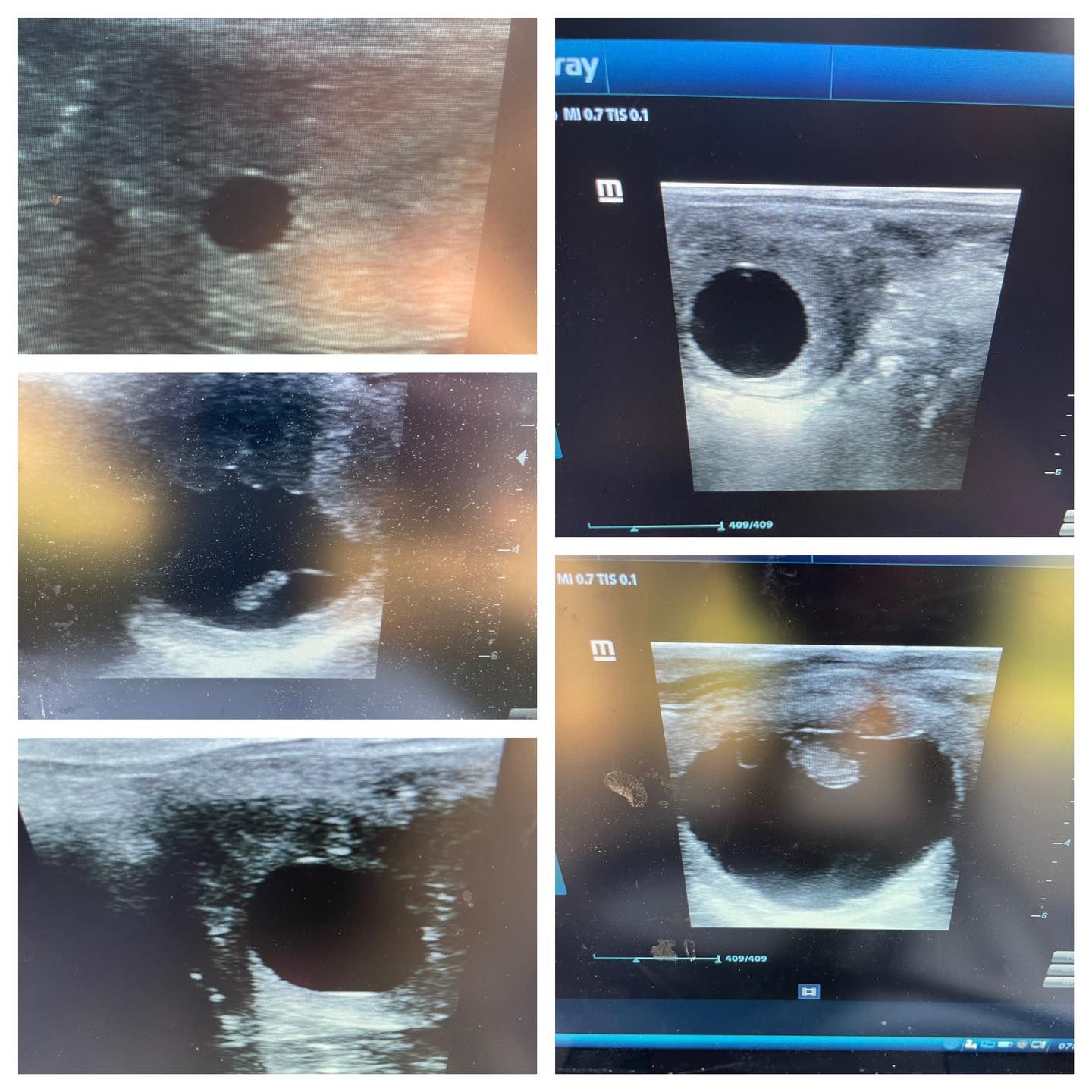 A close up of a horse 's back with horseshoes on it