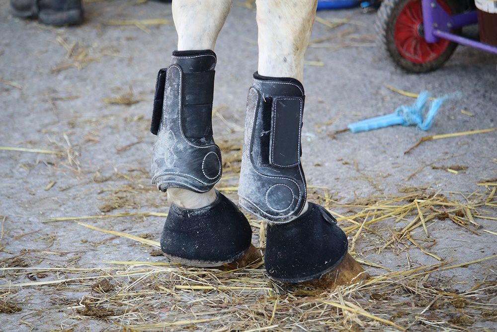A close up of a horse 's legs wearing black boots.