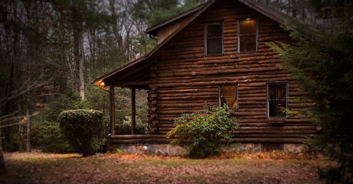 Cabin in the woods