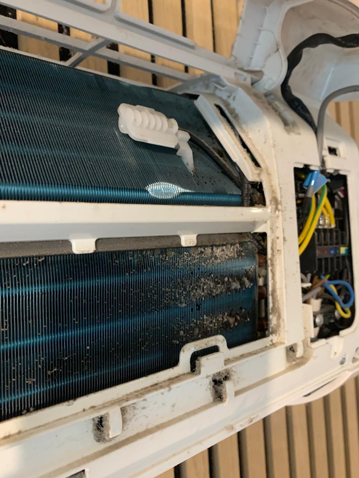 pleśń na parowniku