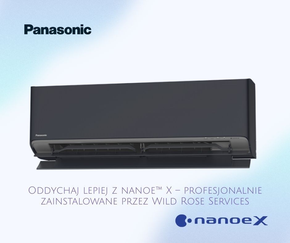 Panasonic Etherea