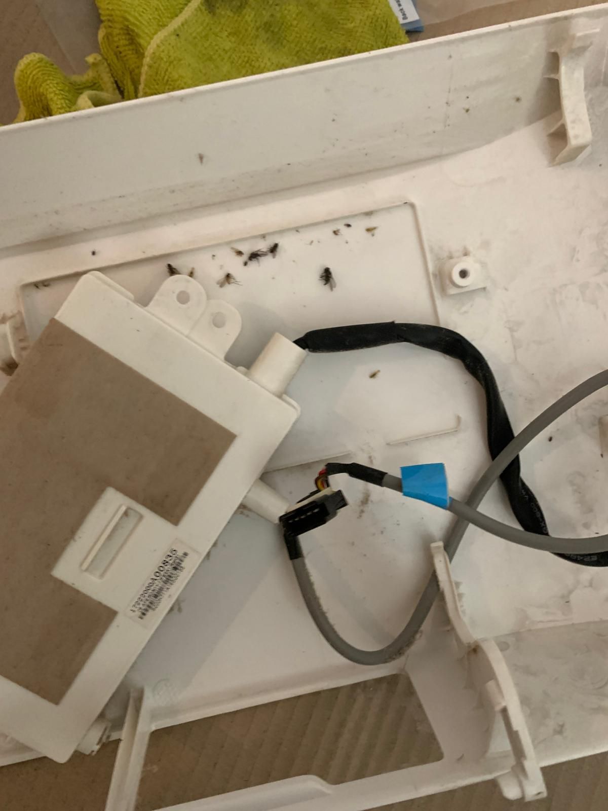 muchy w klimatyzacji