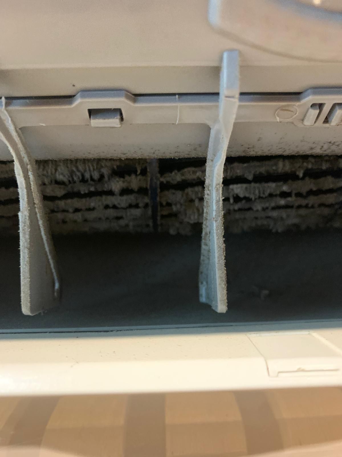 pleśń na parowniku