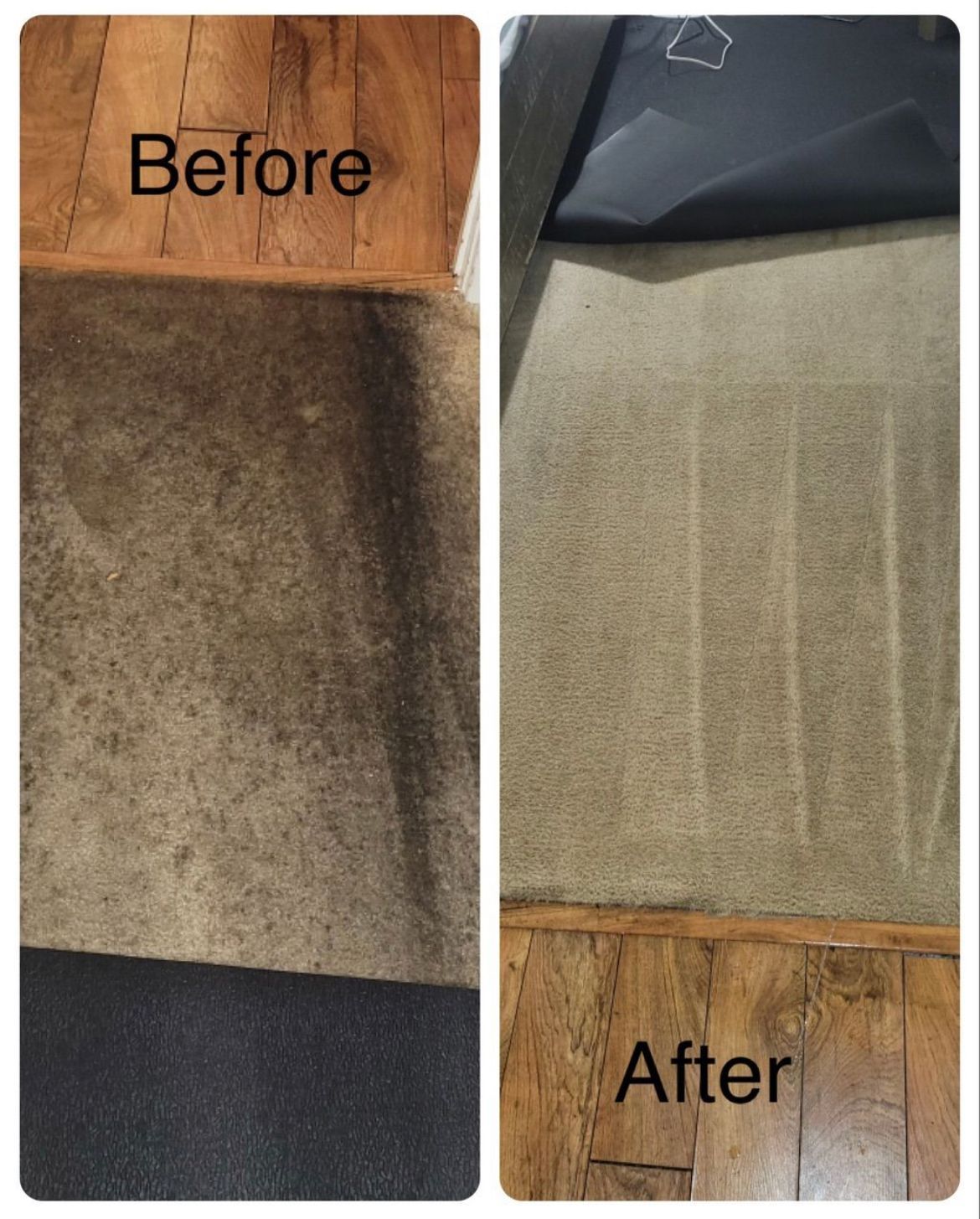 Before and after carpet cleaning: Dark, stained carpet transforms to a clean, light color.
