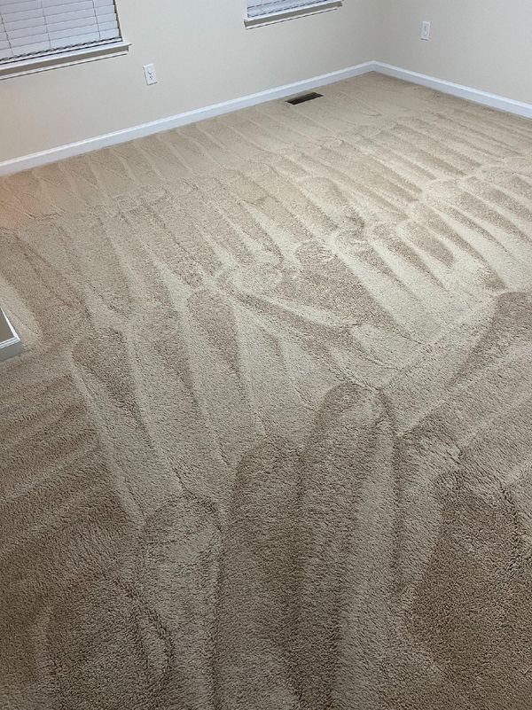 Beige carpet in a room, showing cleaning marks. White walls and windows are also visible.