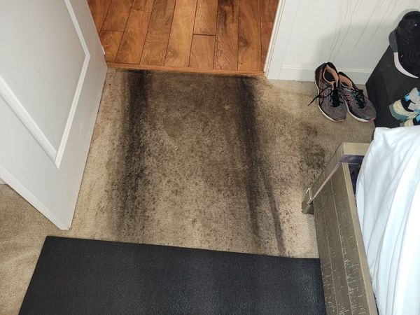 Dark stained carpet near a doorway. Sneakers and black boots sit nearby.