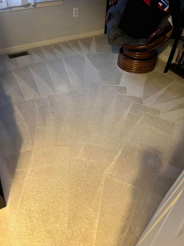 Cleaned, light gray carpet with visible cleaning patterns. In a room with furniture and a window.