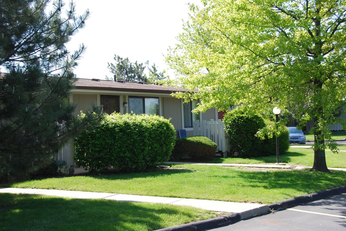 A house with a lot of trees in front of it