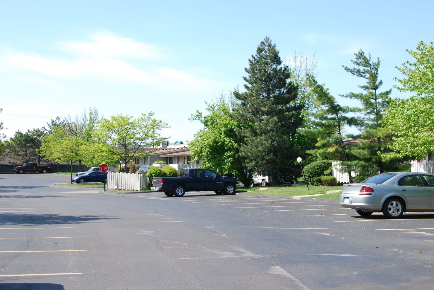 Several cars are parked in a parking lot with trees in the background